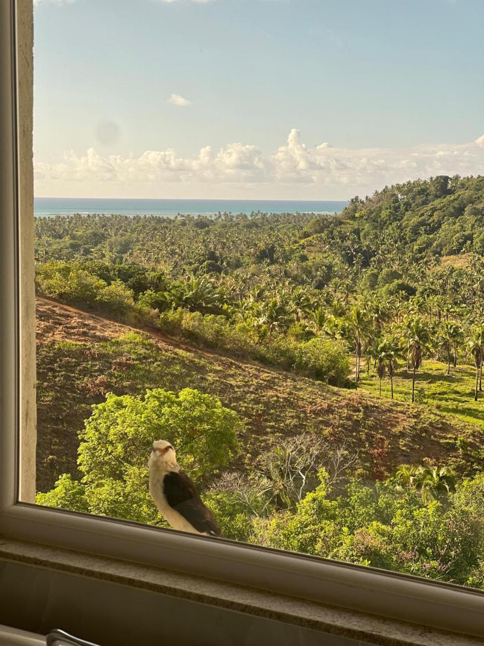 Mansao Alto Maragogi Villa Kültér fotó